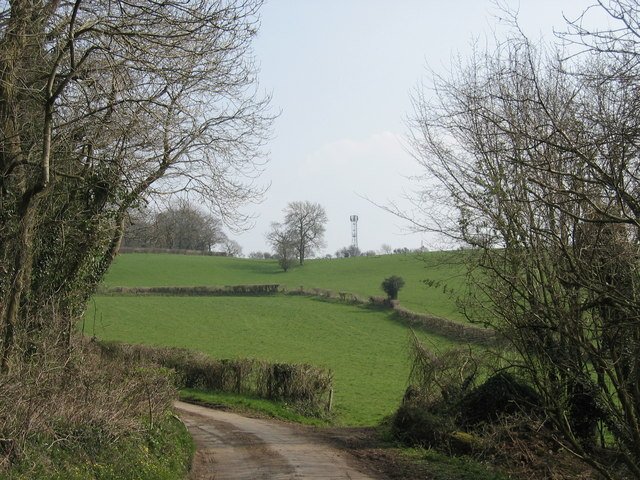 Green fields and hedgerows near Dinas Powys, Vale of Glamorgan